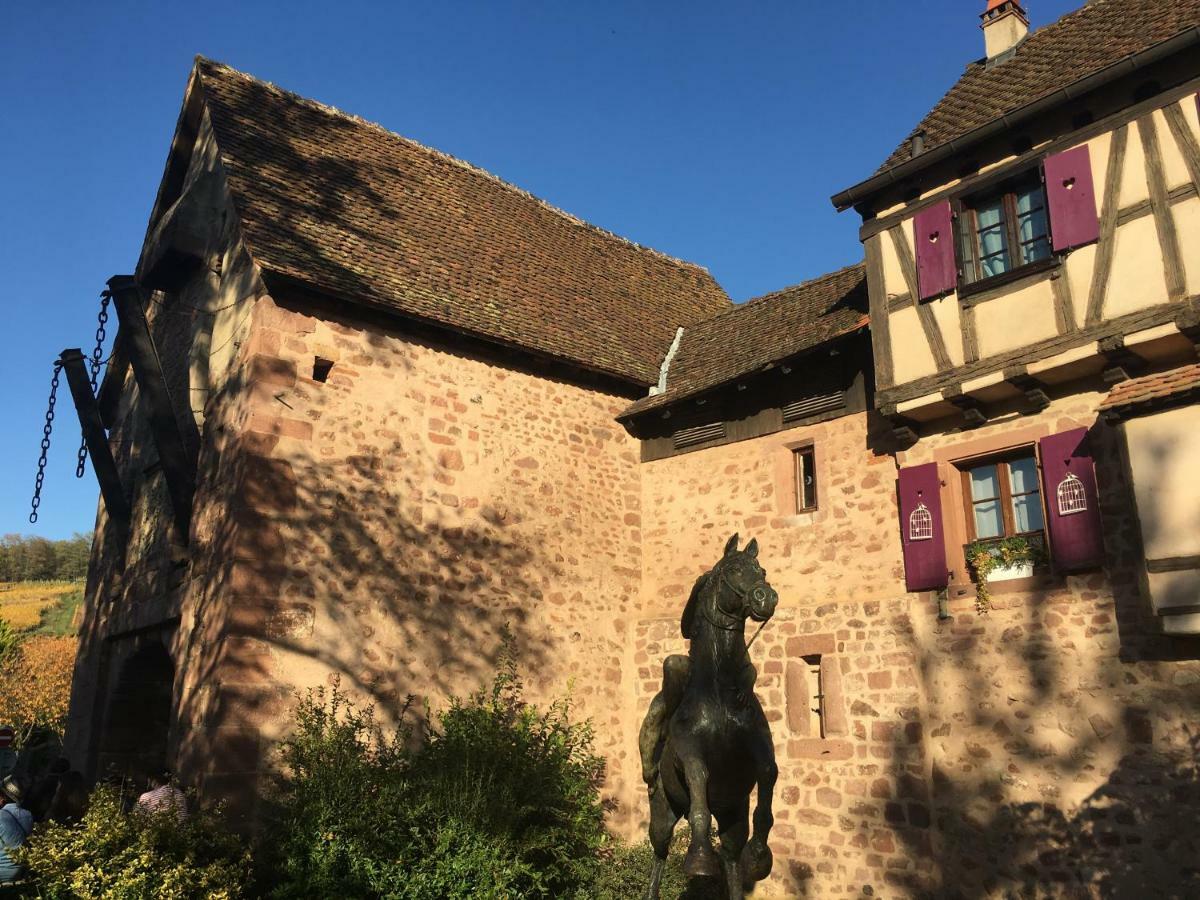 Laterale Residences Riquewihr Luaran gambar